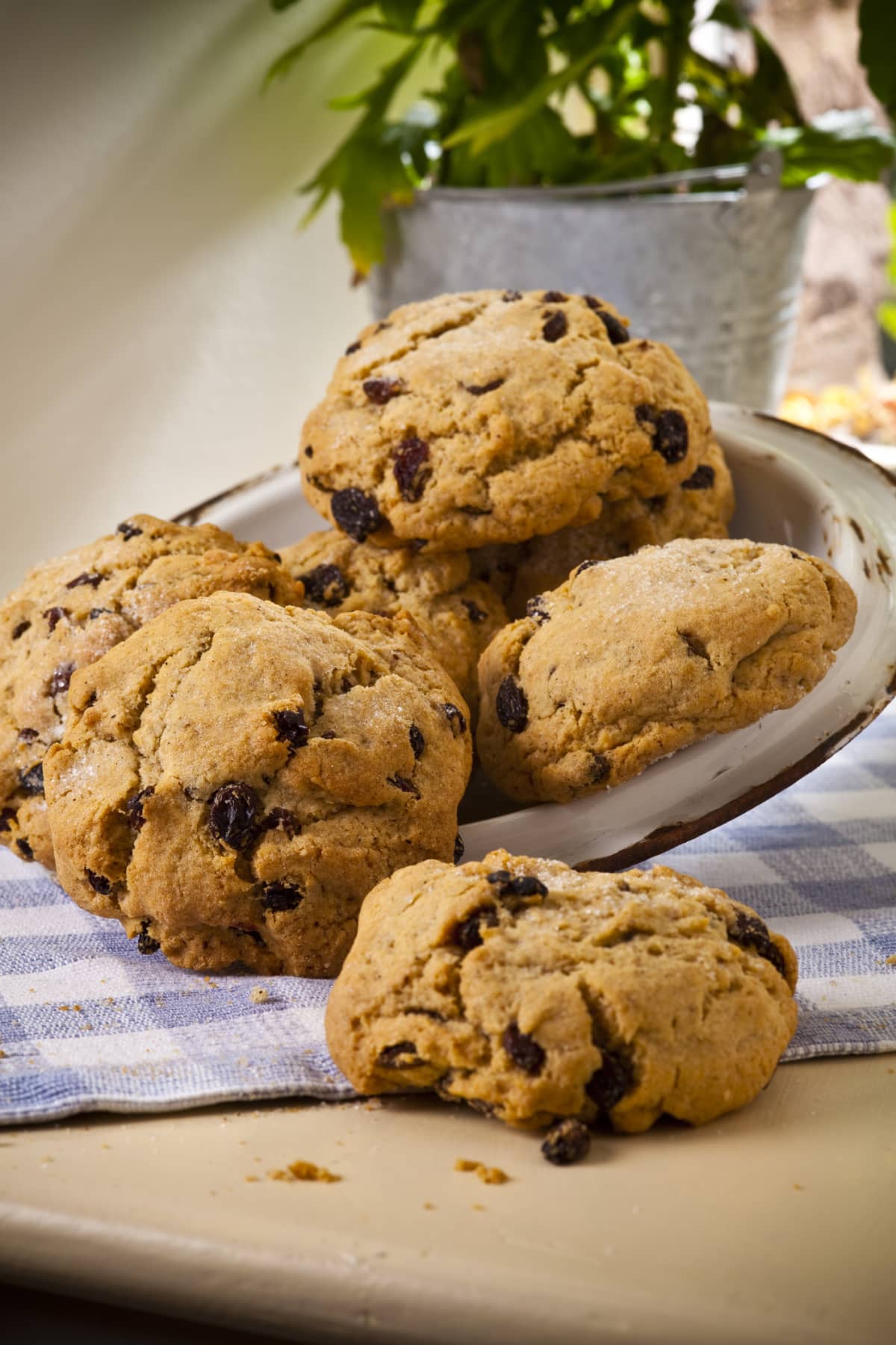 Rustic homemade rock cakes in a rustic home kitchen setting, Newport, Wales, 2010