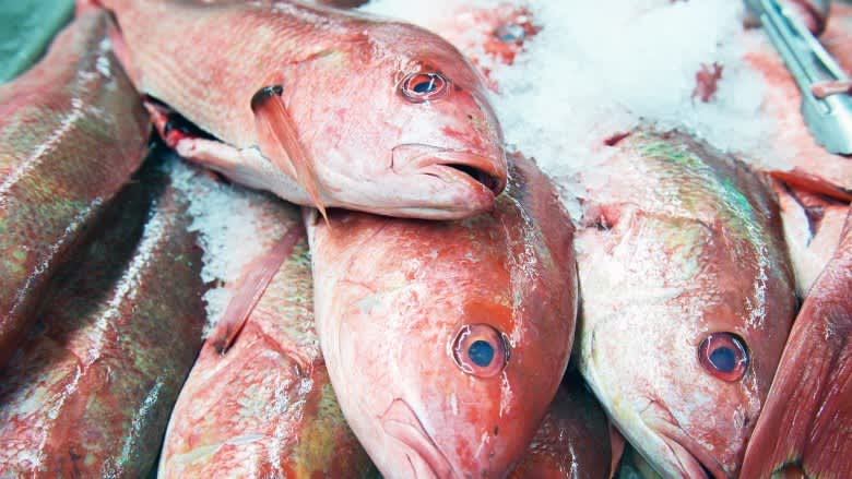 Here Are The Signs You're Eating Cheap Fish
