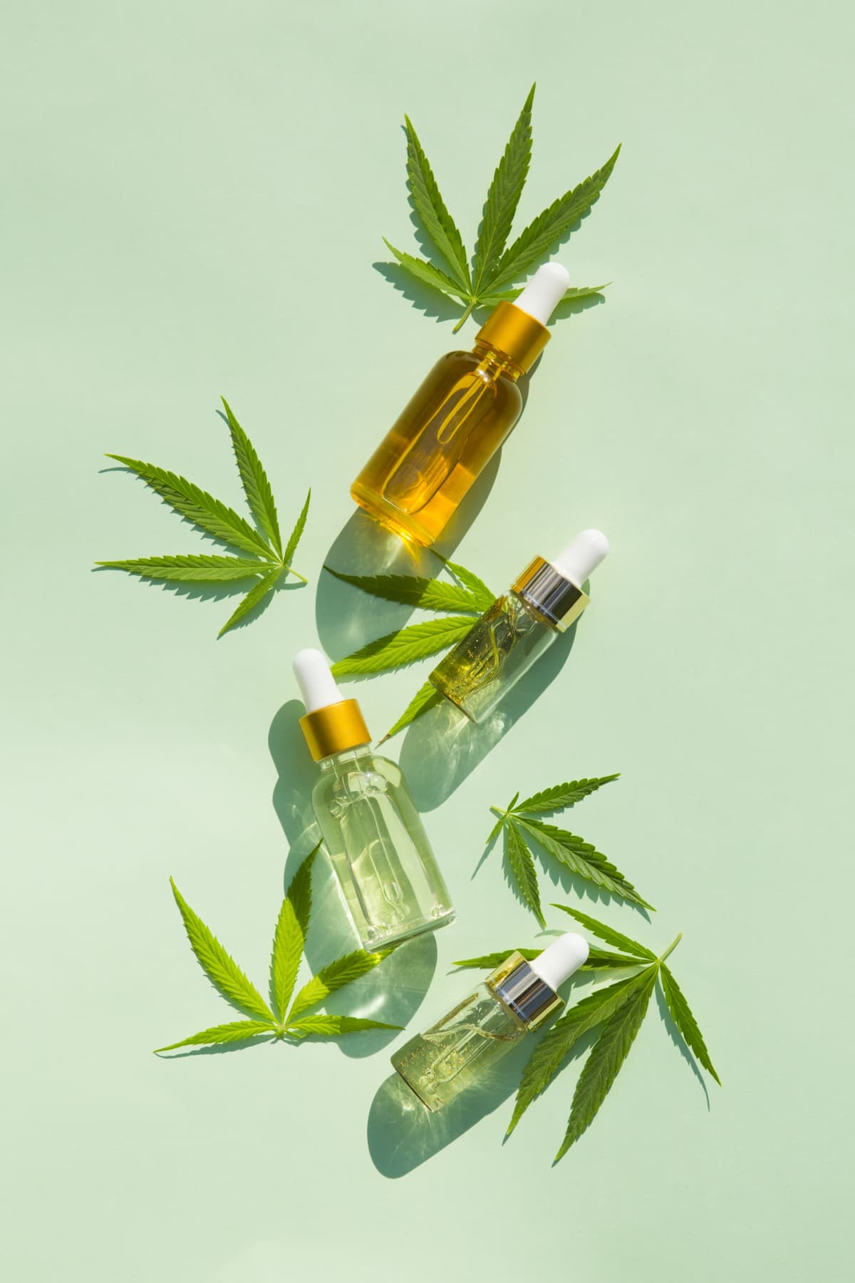 hemp cosmetic products glass bottles with oil,  seed extract and hemp  leaves on a mint background. Flat lay