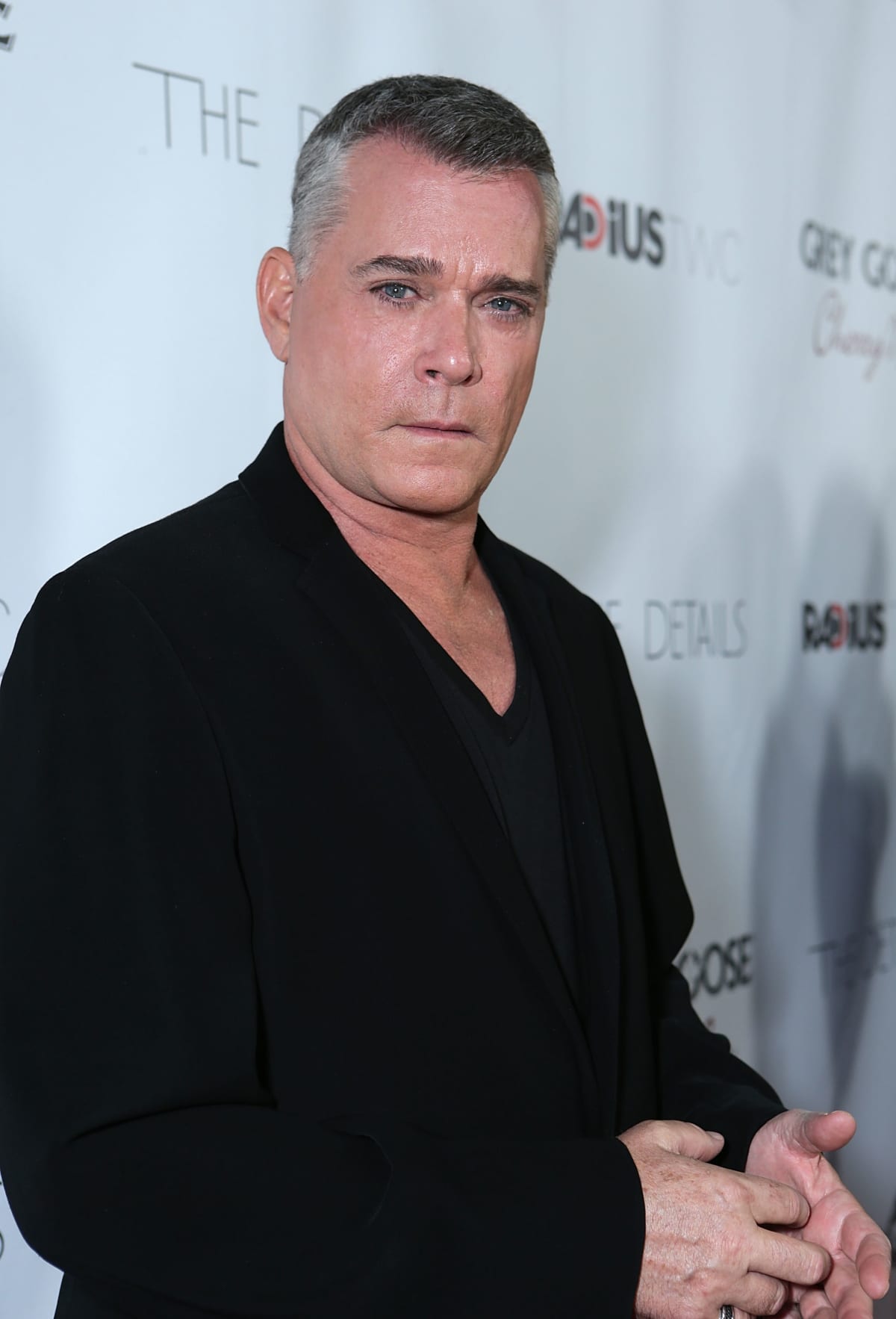HOLLYWOOD, CA - OCTOBER 29:  Ray Liotta at RADiUS-TWC 'he Details' Premiere hosted by GREY GOOSE Vodka held at The ArcLight Cinemas on October 29, 2012 in Hollywood, California.  (Photo by Alexandra Wyman/Getty Images for Grey Goose)