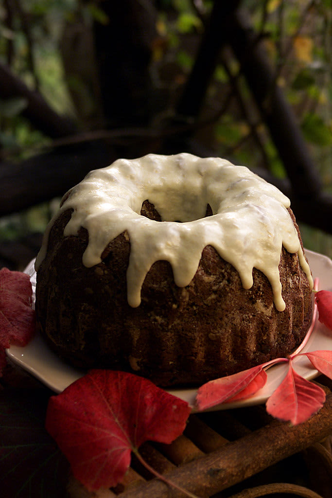 Chocolate bundt cake with icing on white plate outside