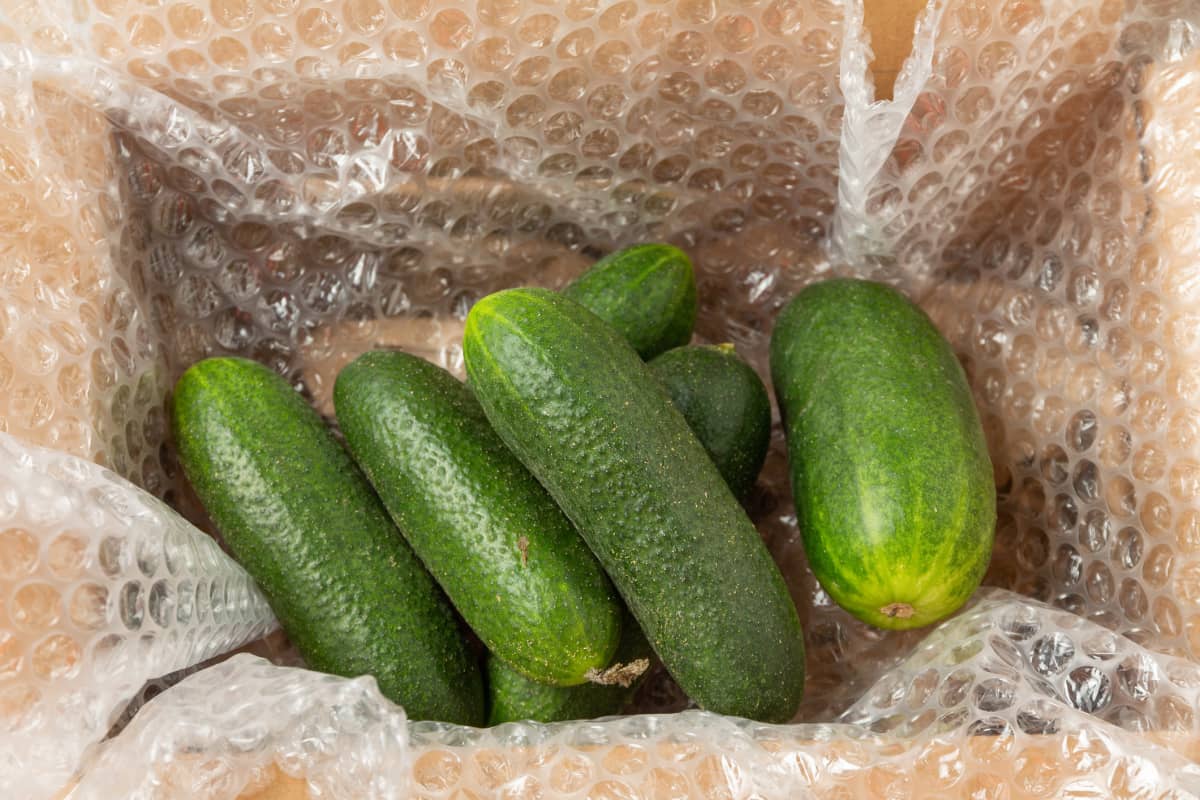 whole cucumbers in a box
