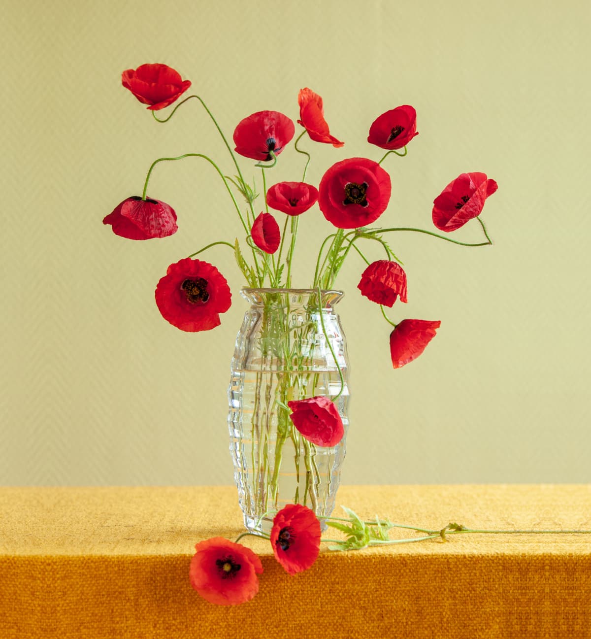Glass vase holding a bouquet of poppy flowers