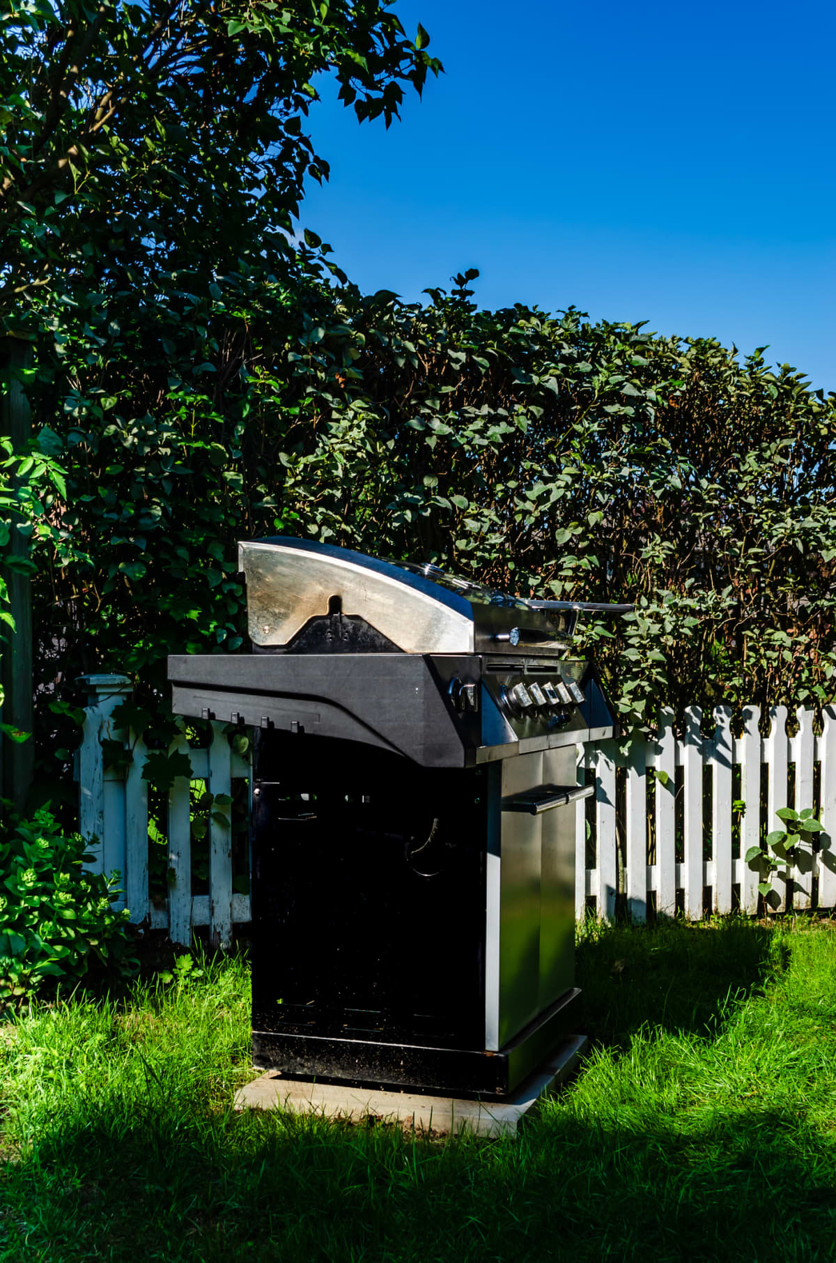 Stainless steel barbecue in a backyard next to bushes and a white picket fence