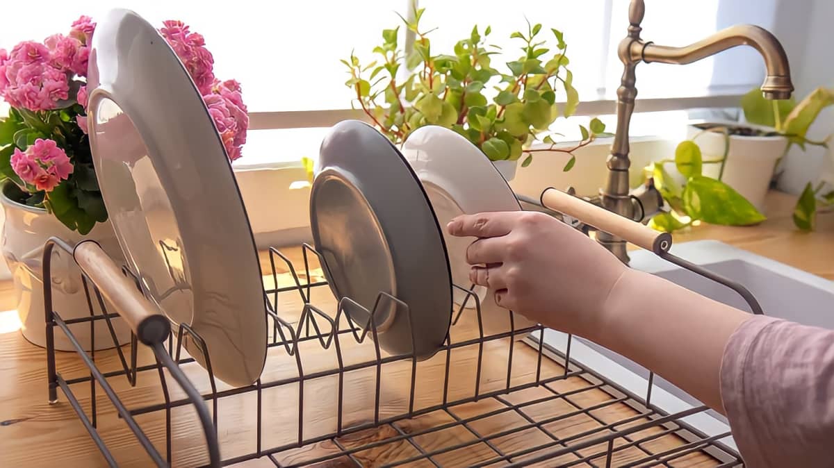 Person putting plates in a dish rack