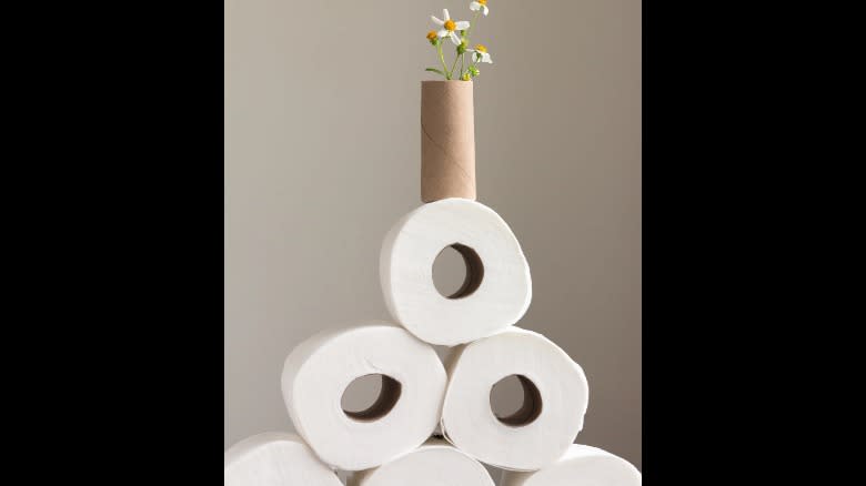 Wildflower growing in empty toilet paper roll atop a pyramid of toilet paper