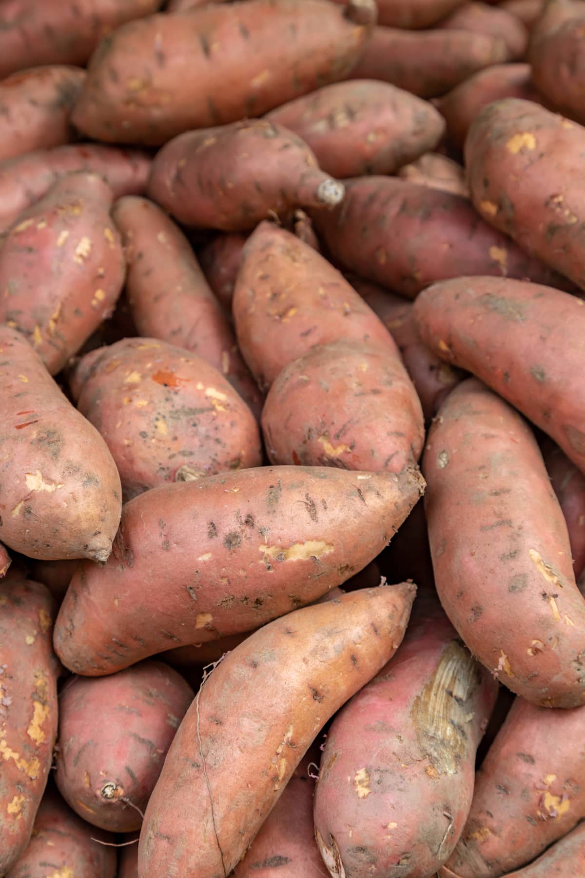 A full frame photograph of sweet potatoes on a market stall