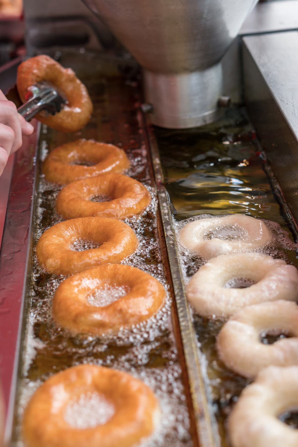 Close up view of a row of donuts being fried in oil 