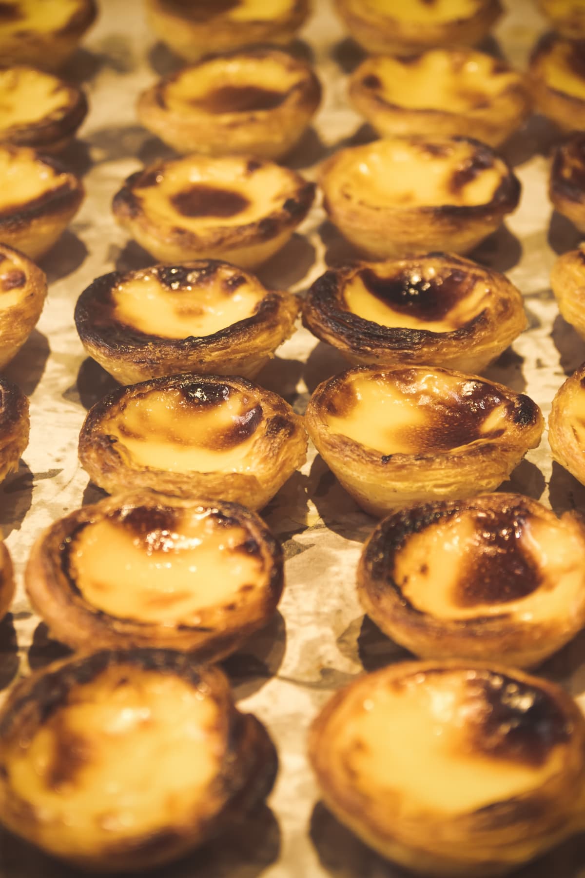 Belem cakes or Pasteis de Belem, Portuguese traditional recipe pastel de Nata Custard Tarts with ingredients on rustic wooden table