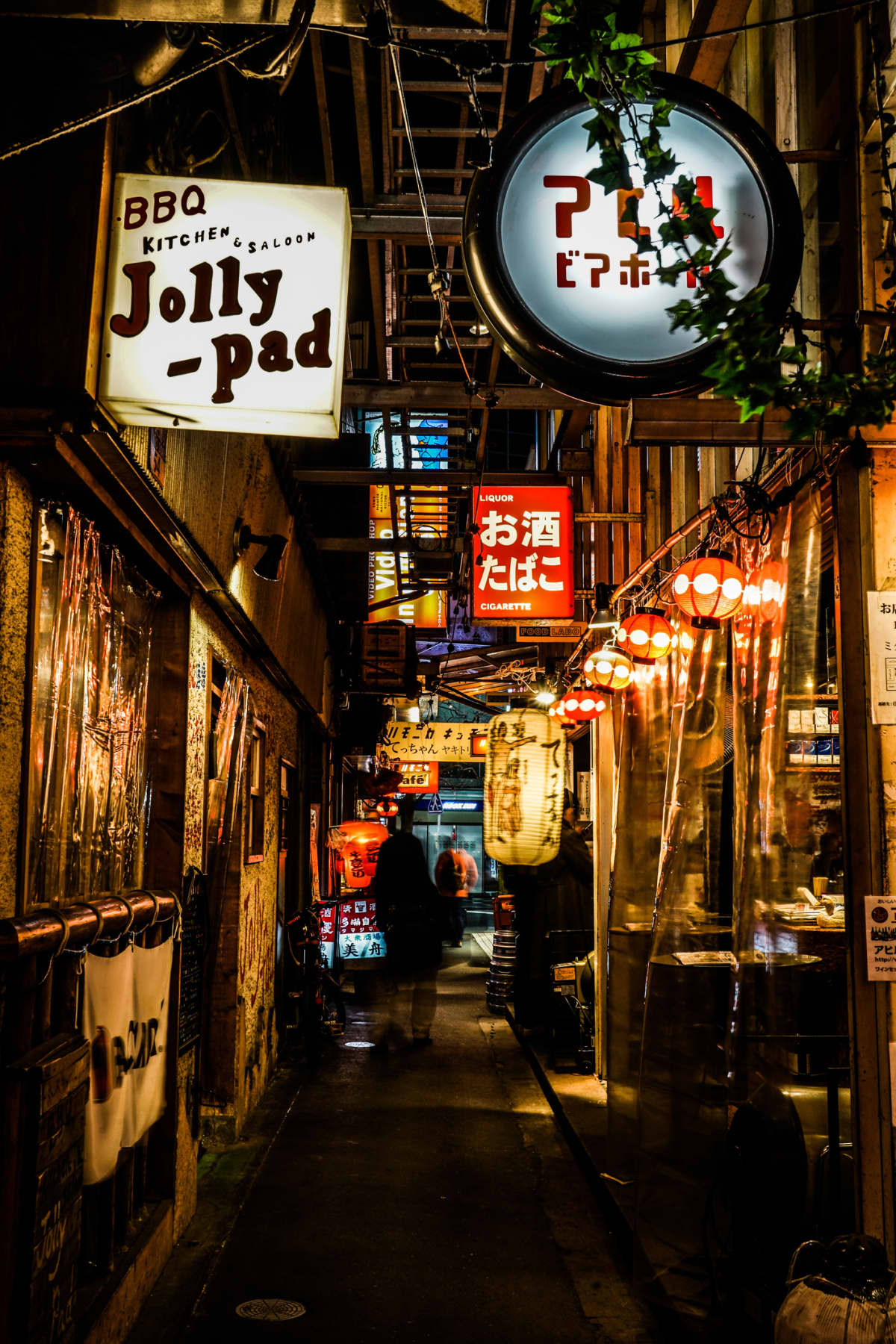 Kichijoji harmonica alley. Shooting Location: Musashino-shi, Tokyo