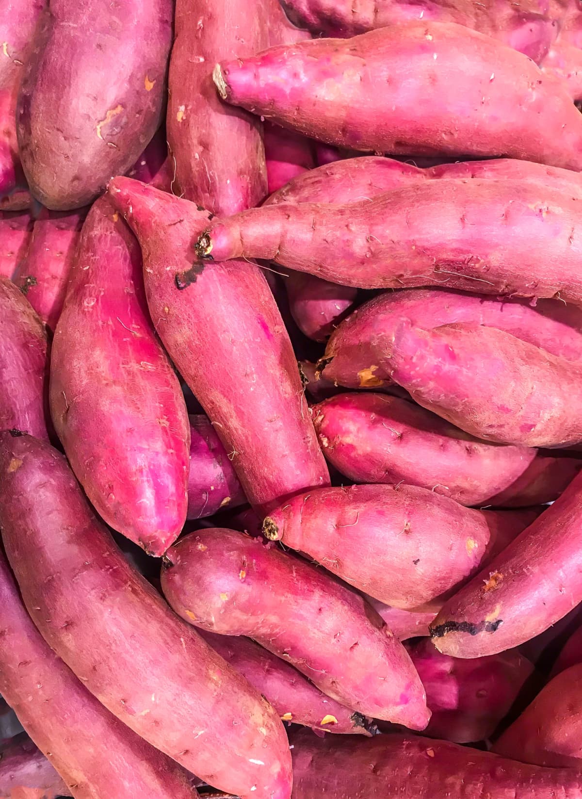 Pile of purple sweet potatoes