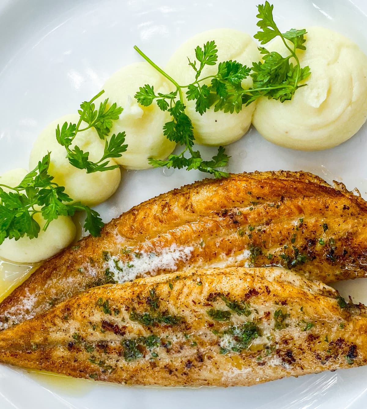Sole Meuniere, the classic French fish dish of dover sole sauteed in brown butter.
