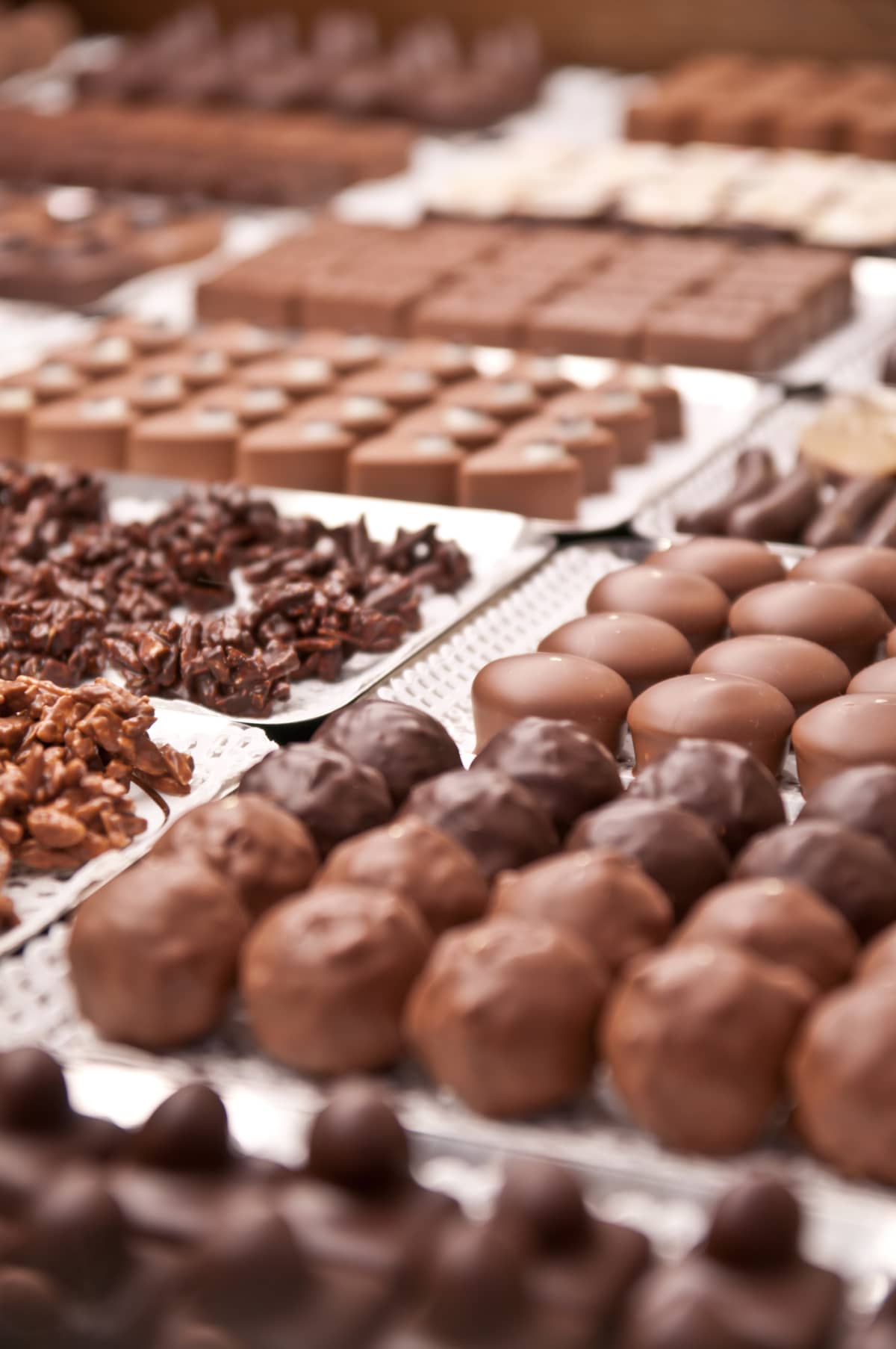 Belgium, brussels chocolate shop.