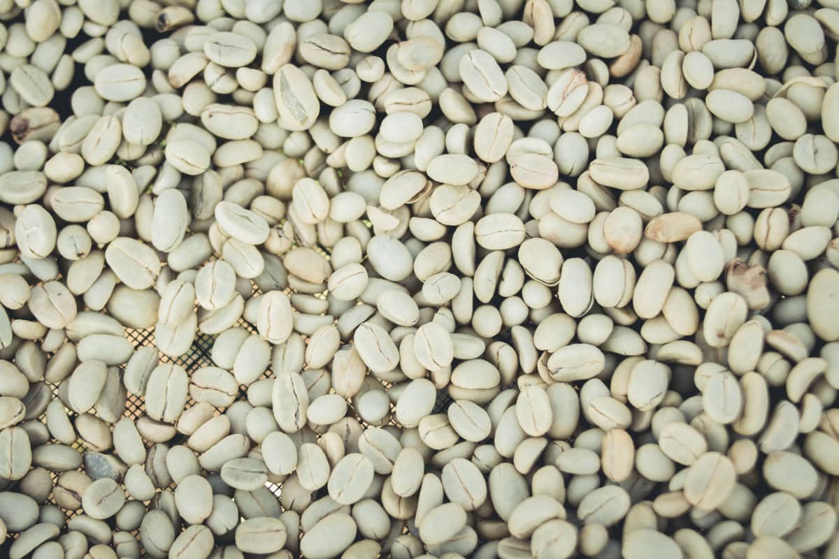 White coffee beans