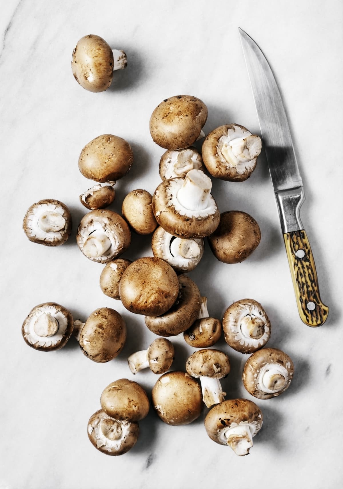 Mushrooms on counter with knife