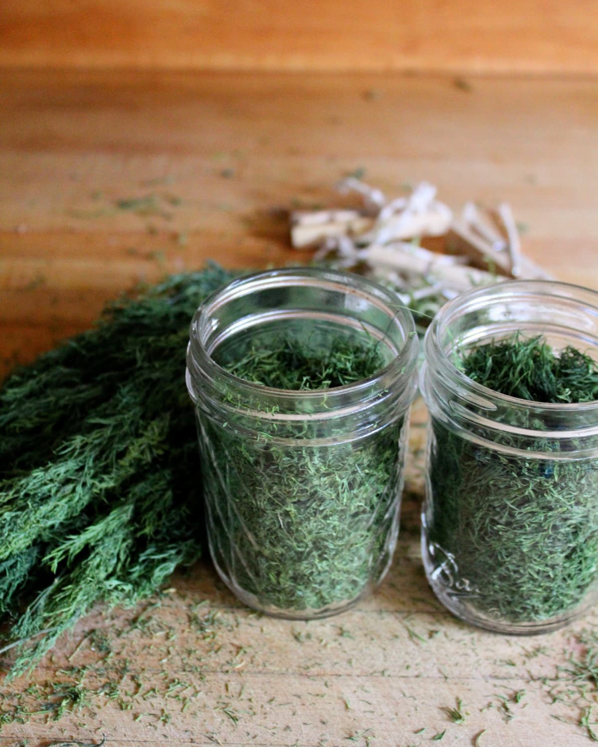 Dill stalks on a table and in glass jars. 