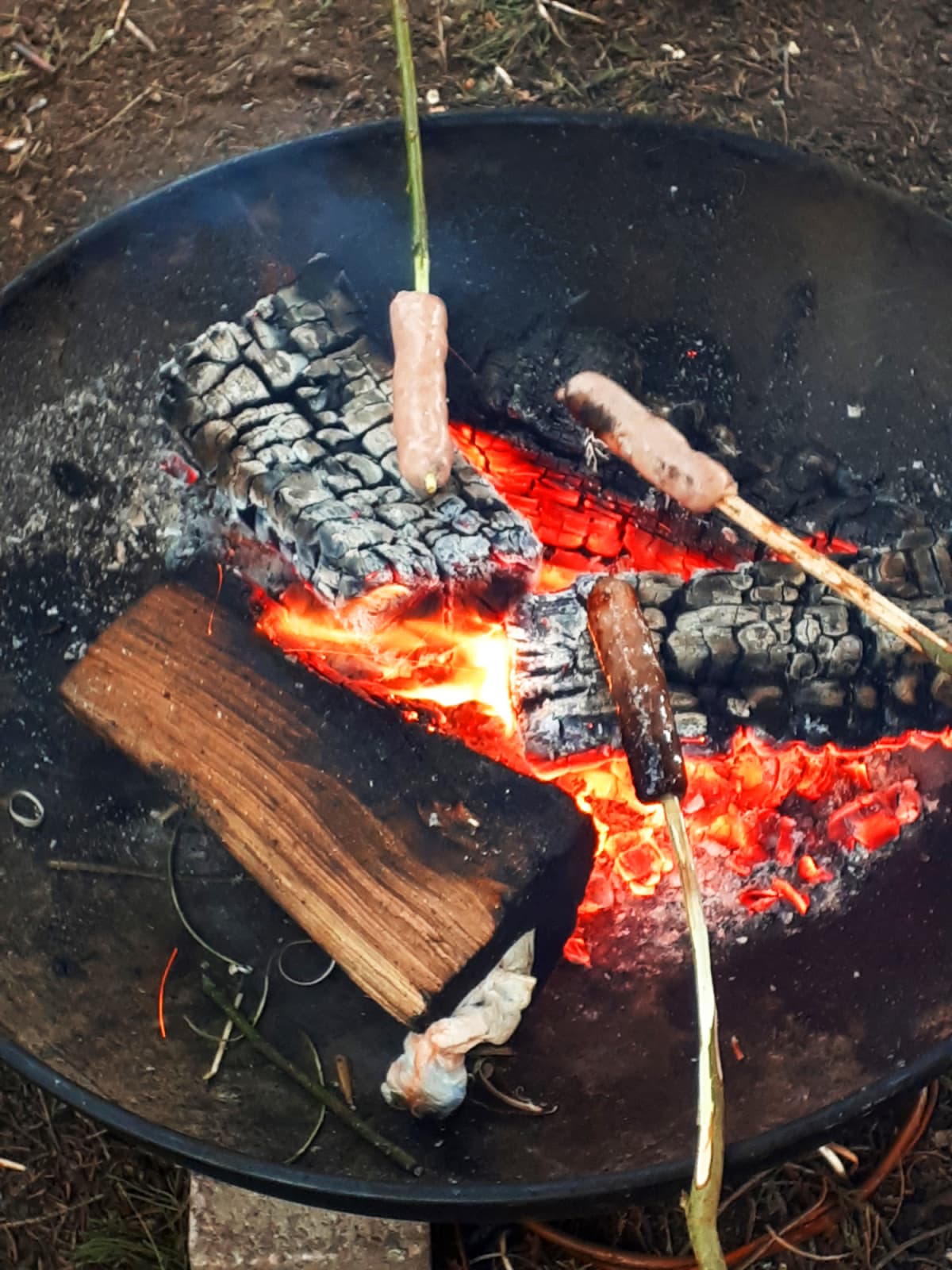 Sausages on willow sticks being cooked on a campfire