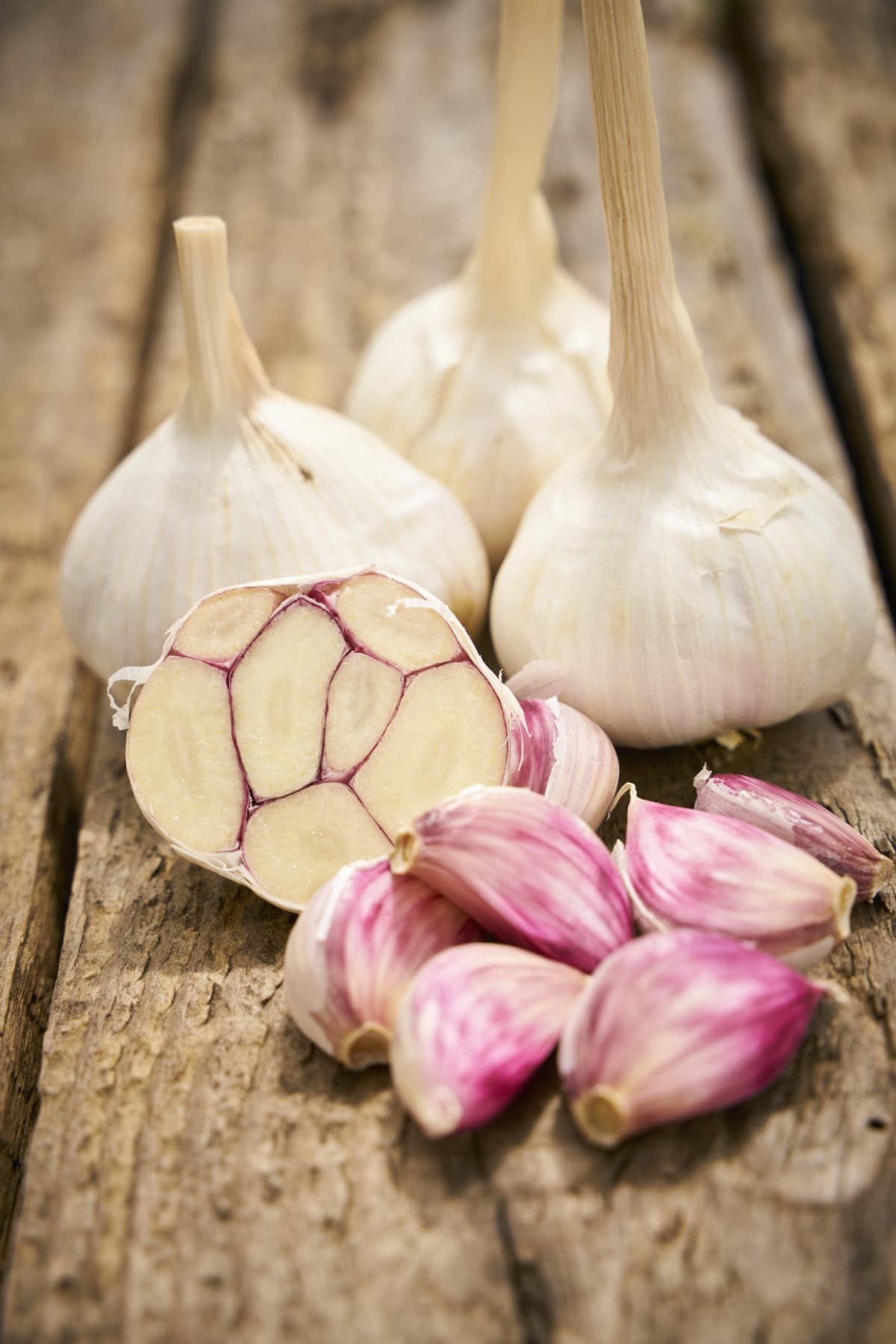Several bulbs of garlic and garlic cloves on a wooden surface