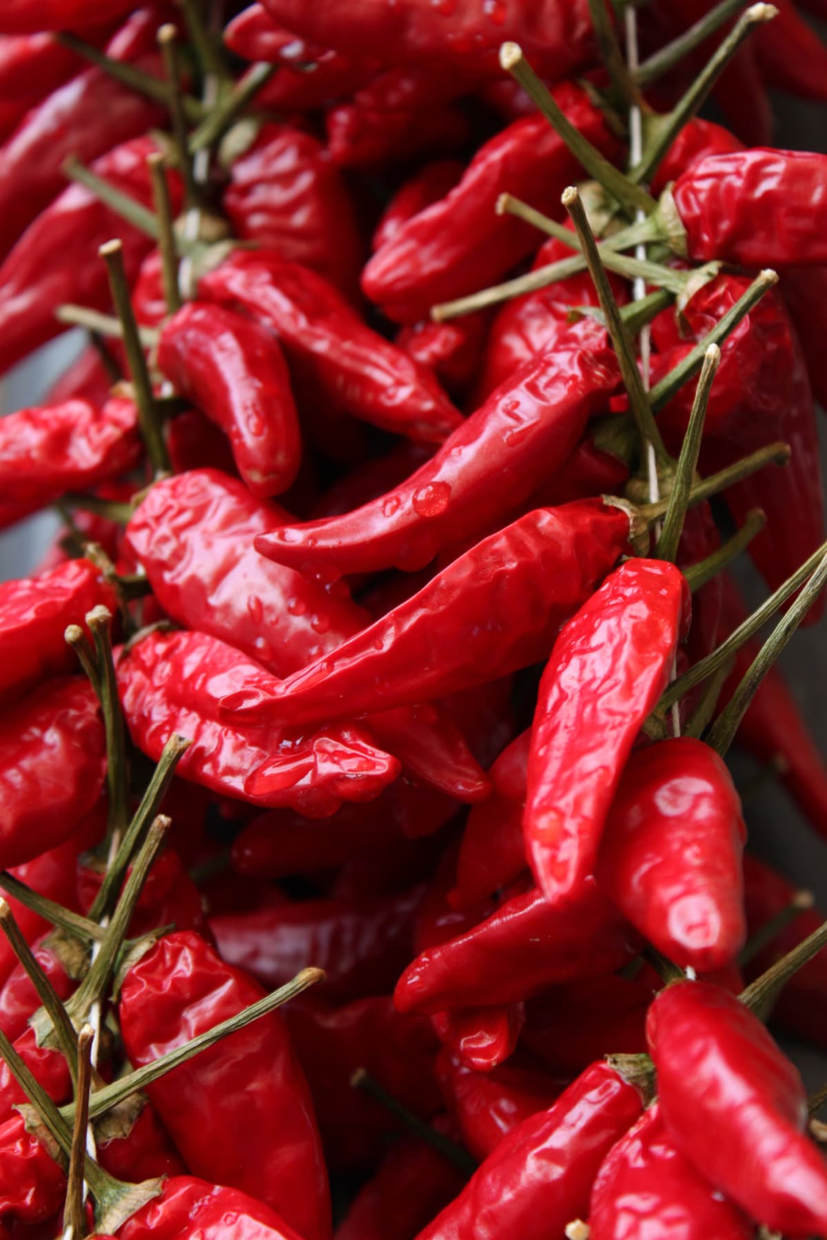 Full screen of Calabrian chili peppers 