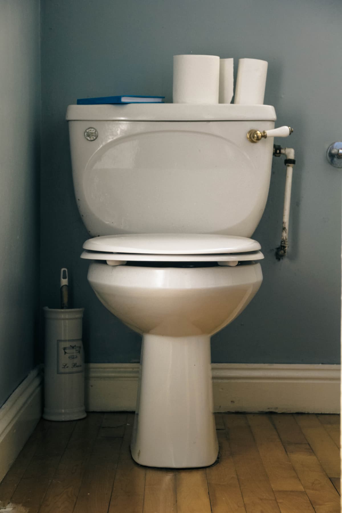 Toilet in the household