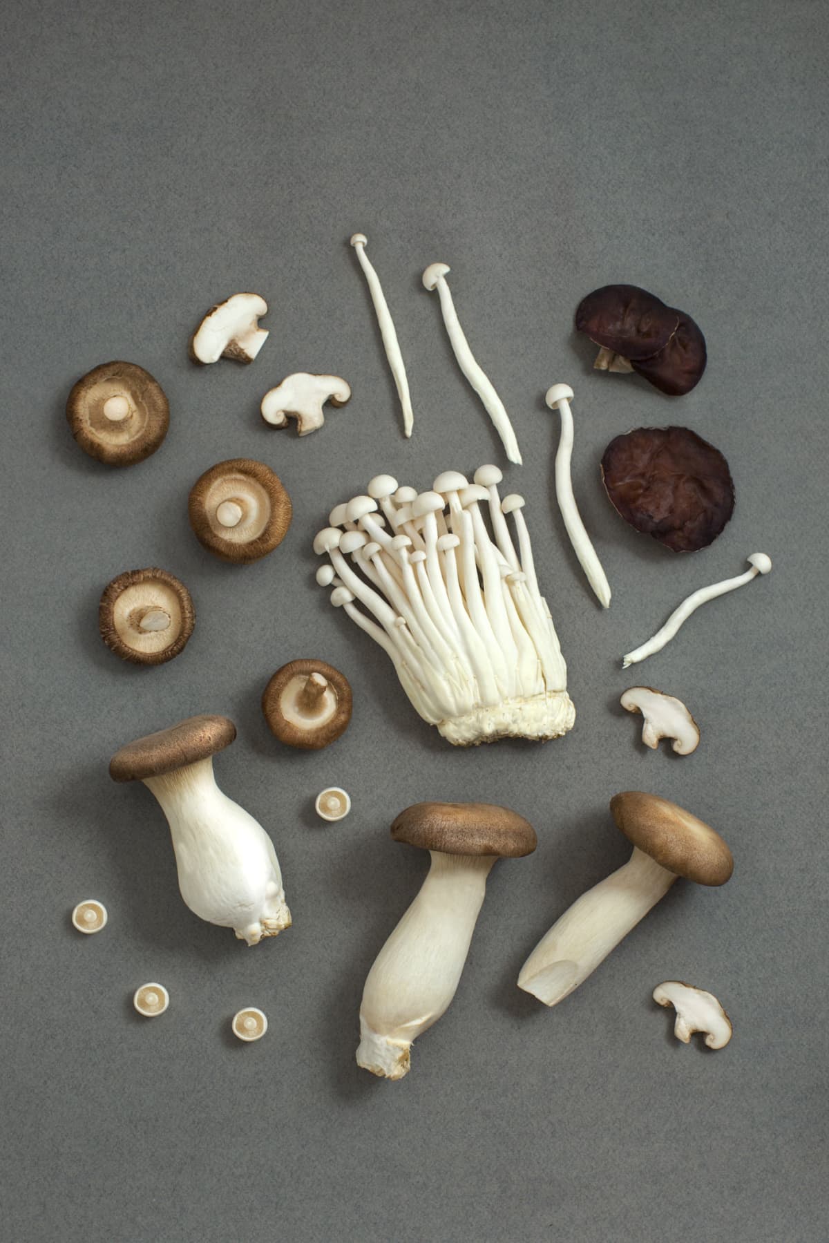 Mixed mushrooms. Top view, flat lay