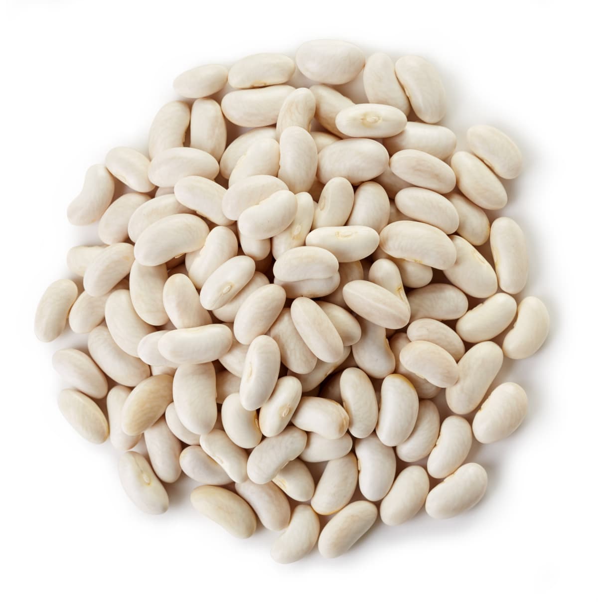 Circle of white beans isolated on white background