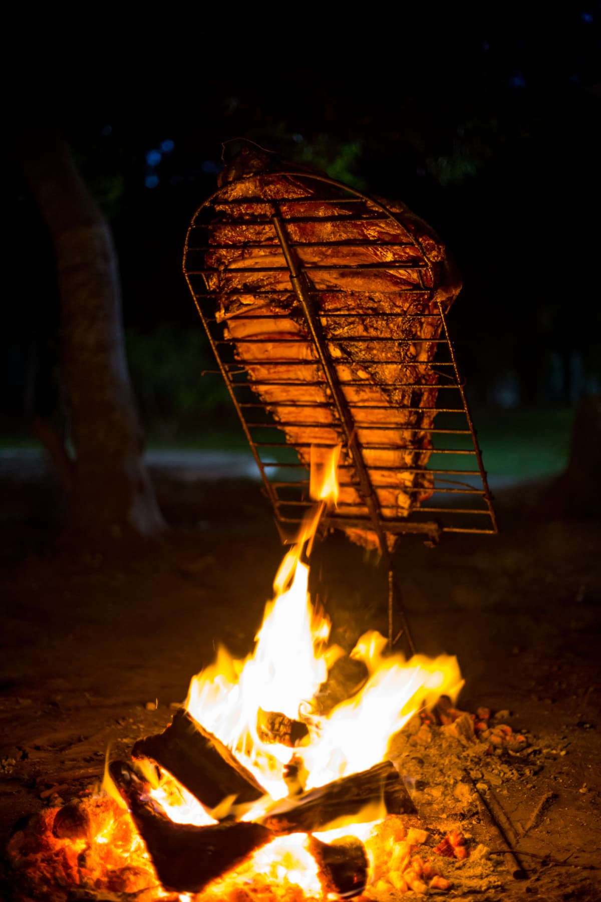 Meat on the spit or asado in the stake.  Grill on the coals. Traditional Argentine barbecue.