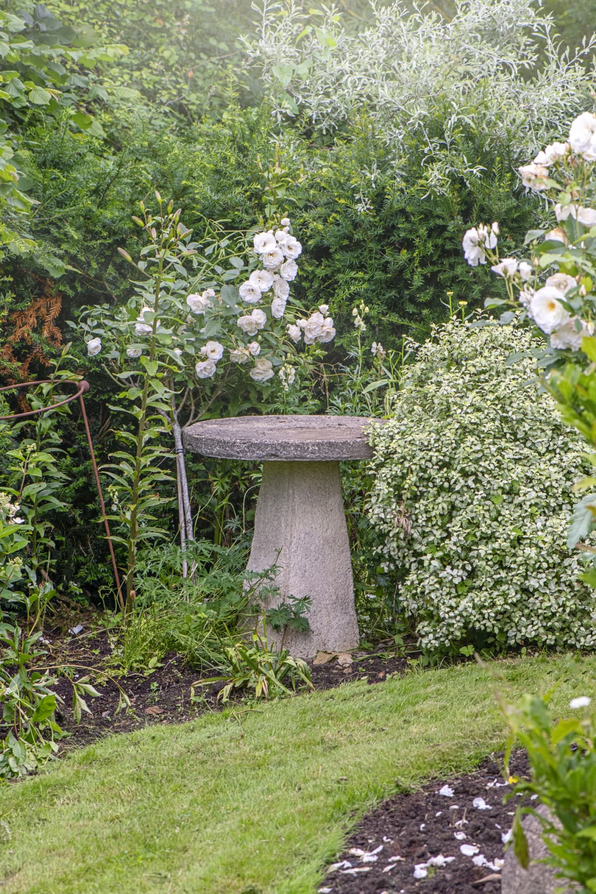 Stone birdbath in a flowered garden