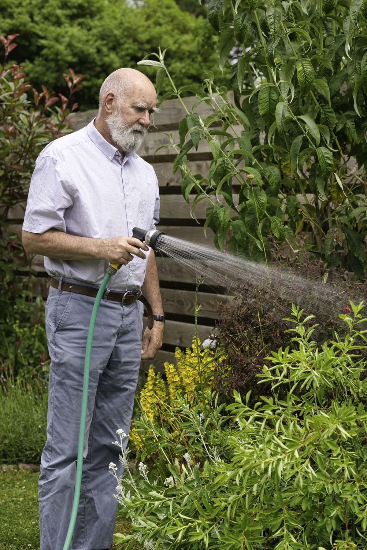 Senior man watering his plants with a hose.