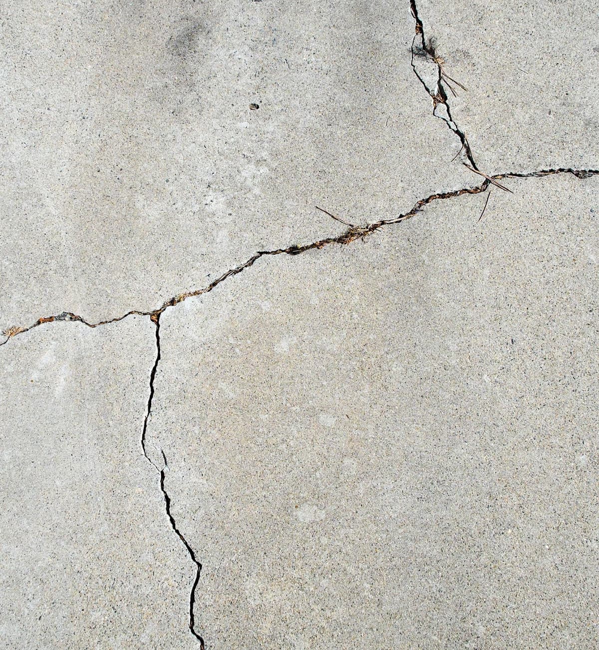 Crack in a cement driveway