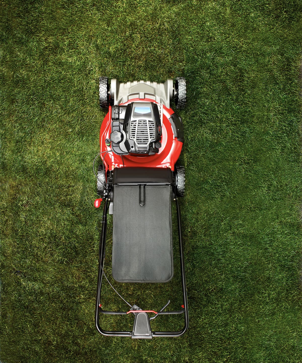 lawn mower on grass