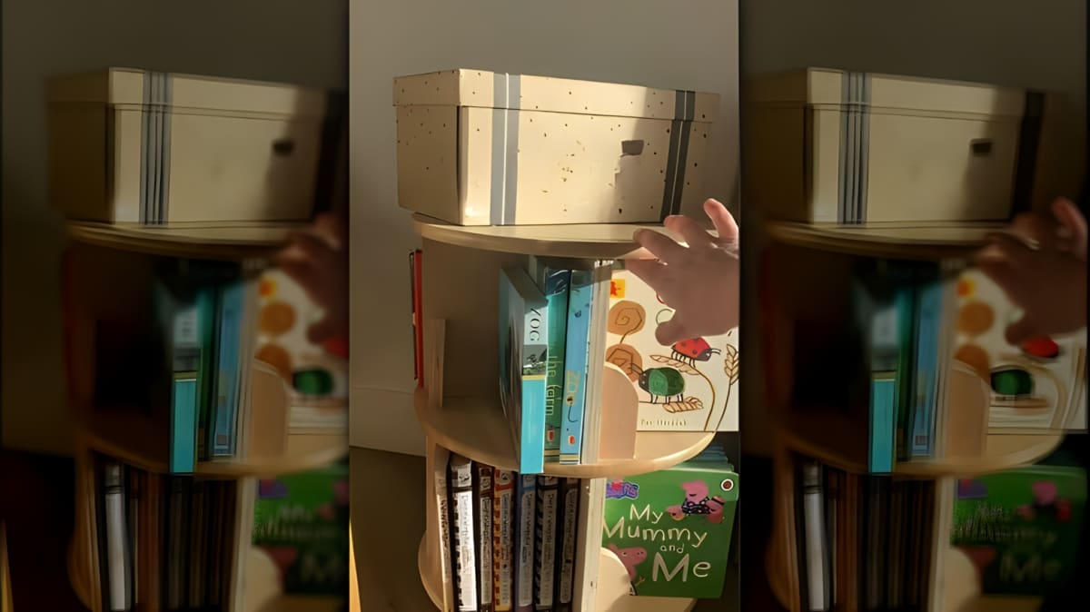 A person using IKEA DIY bookshelf
