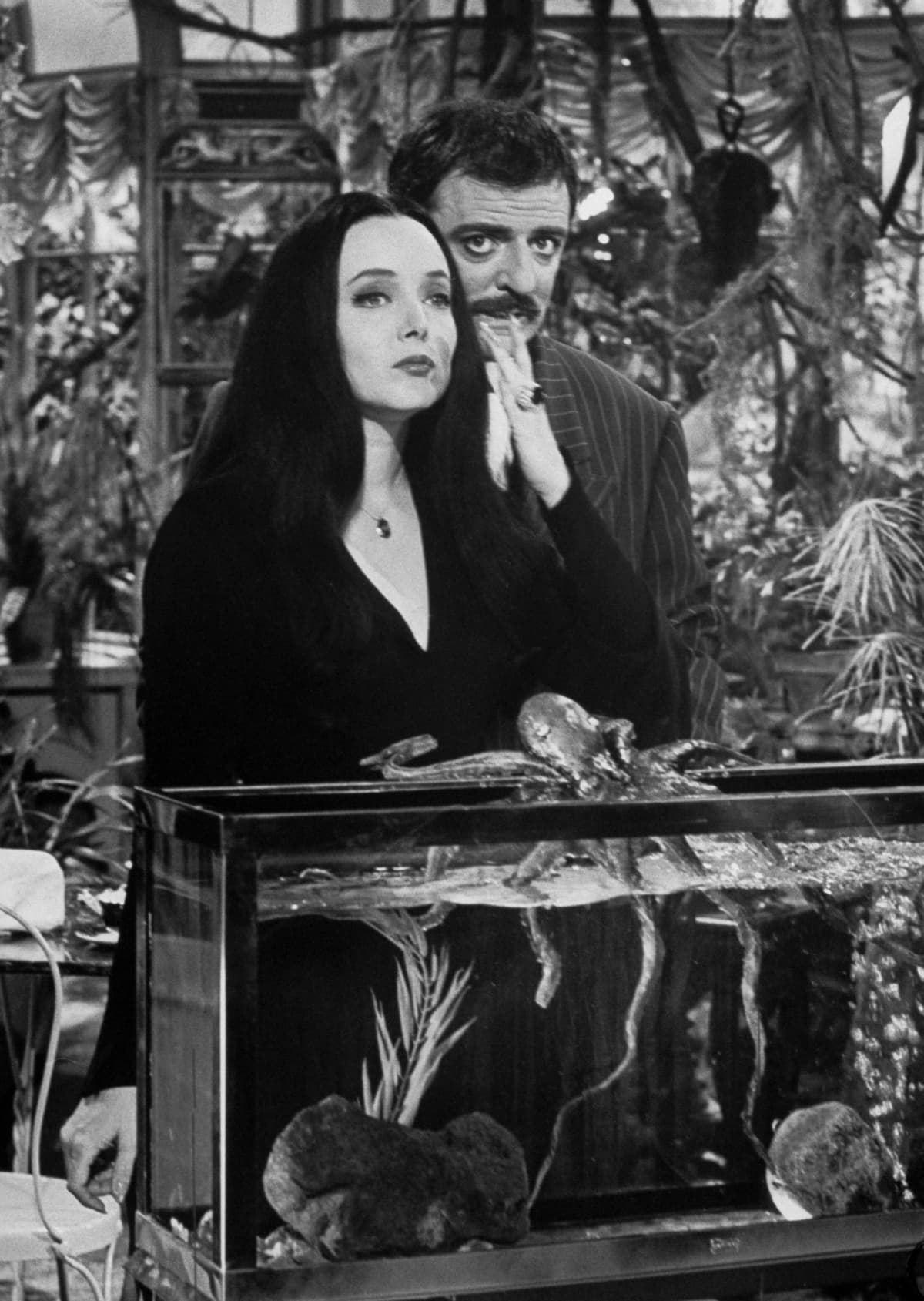 Carolyn Jones (C, sitting) and John Astin (L), with other cast members, during scene from program The Addams Family.    (Photo by Don Cravens/Getty Images)