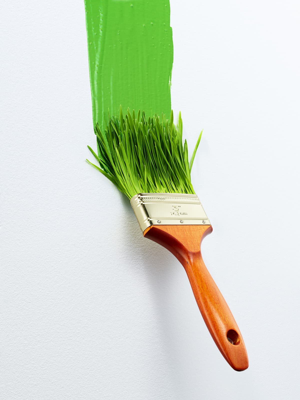 Paintbrush with green paint running down a wall