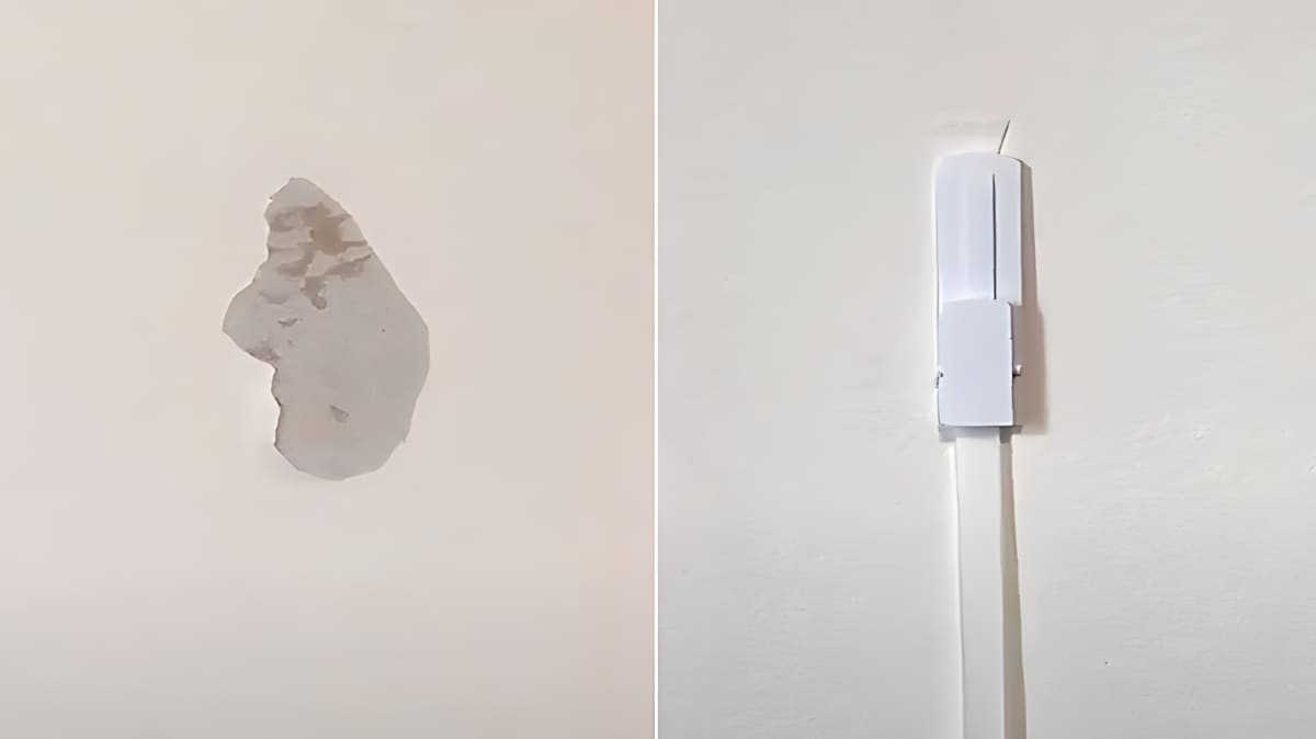 Pro tip: use command strips to avoid damaging the paint on your walls :  r/CasualUK