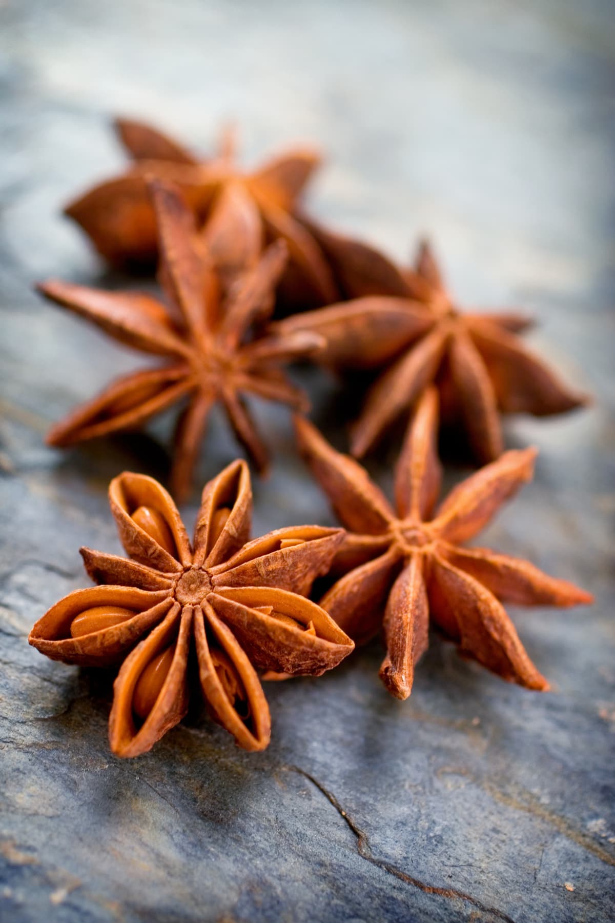 Star Anise spice, delicious licoricey flavor.  Shallow dof.