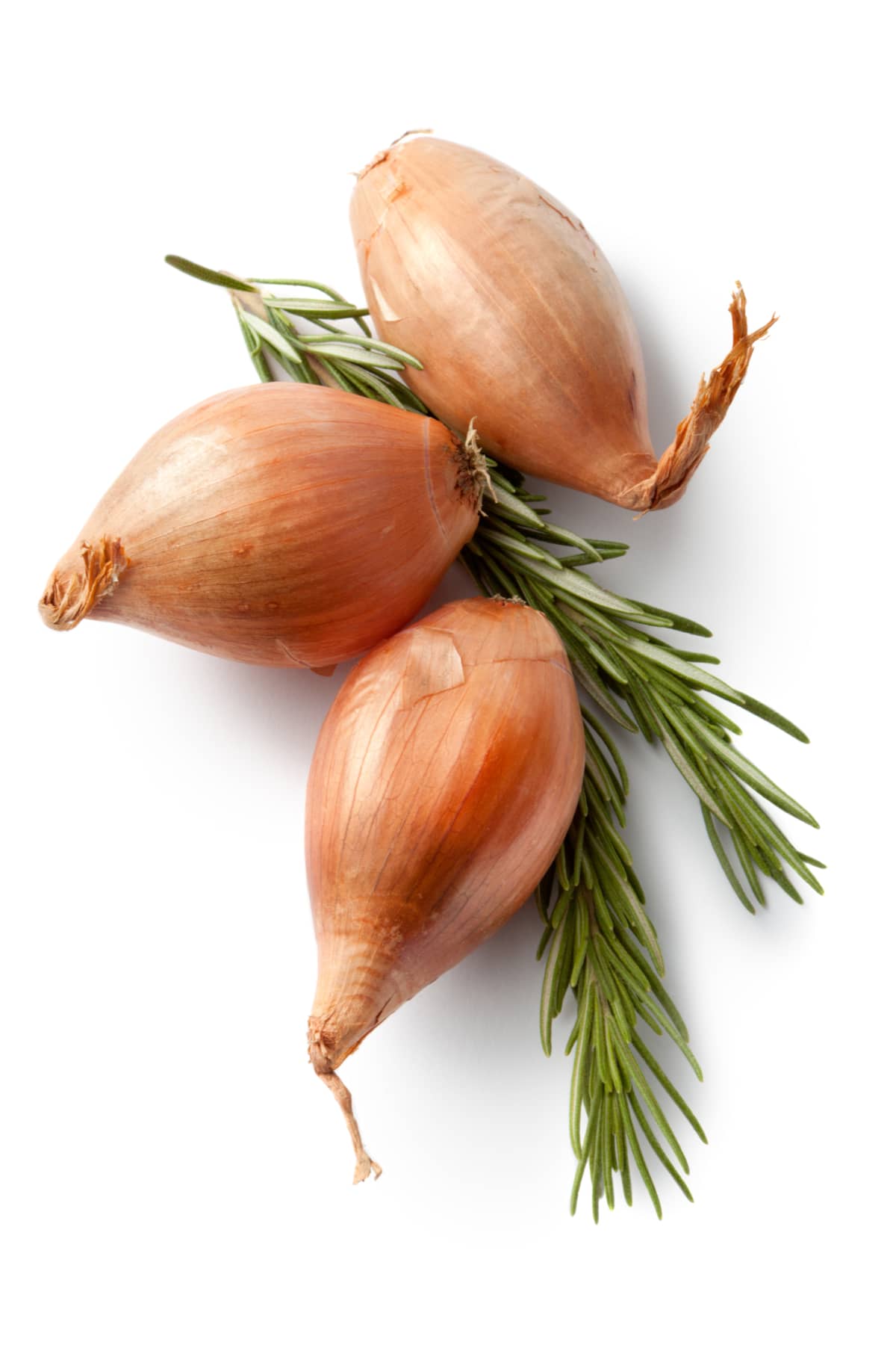 Flavouring: Shallots and Rosemary