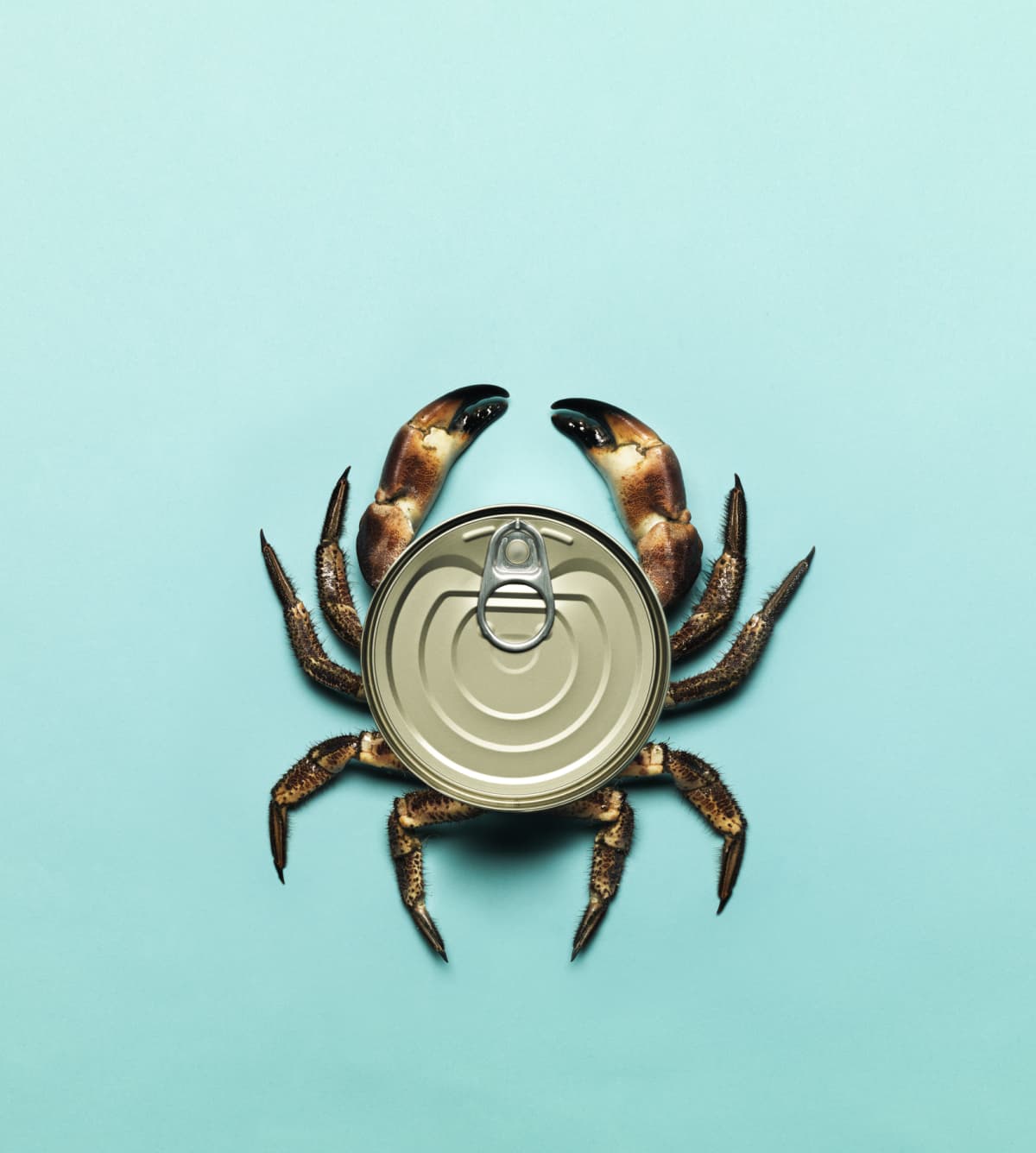 Combination of a can and a crab on a bright blue background