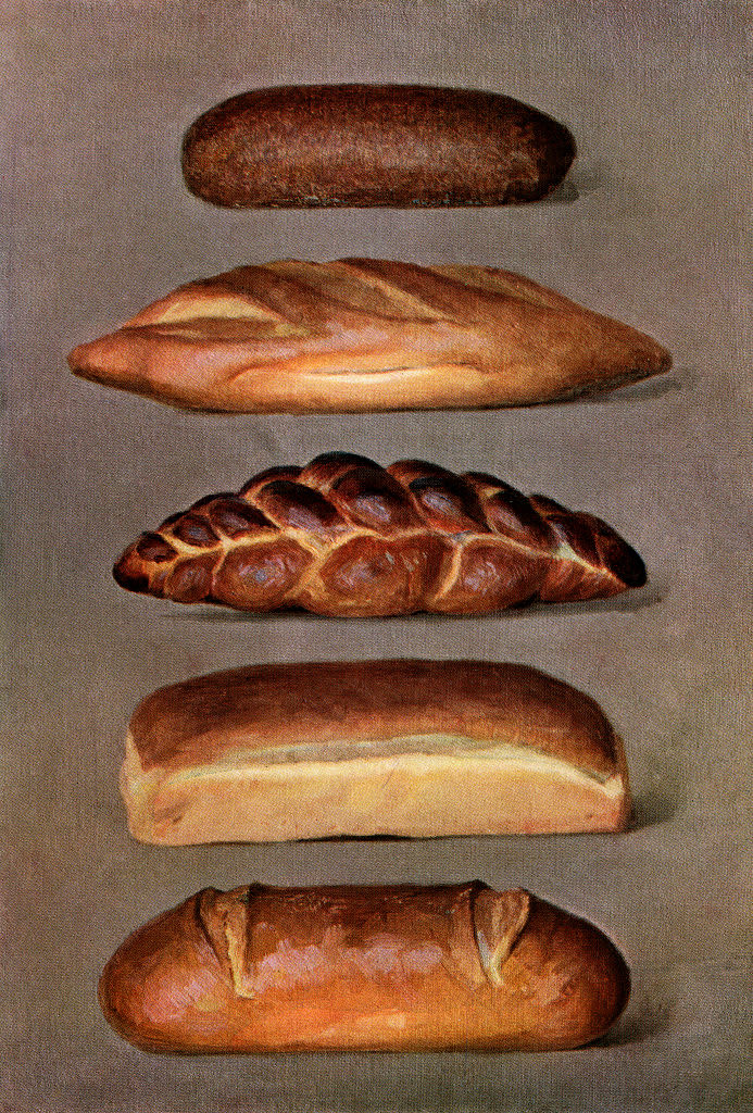 Vintage illustration of five types of baked breads: pumpernickel, Vienna, twist, New England and rye; screen print, 1911. (Photo by GraphicaArtis/Getty Images)
