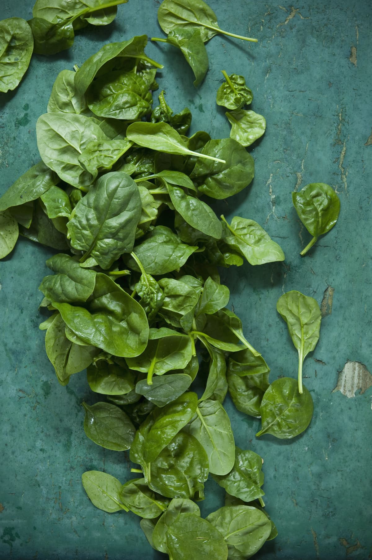 Fresh spinach leaves scattered across a teal surface