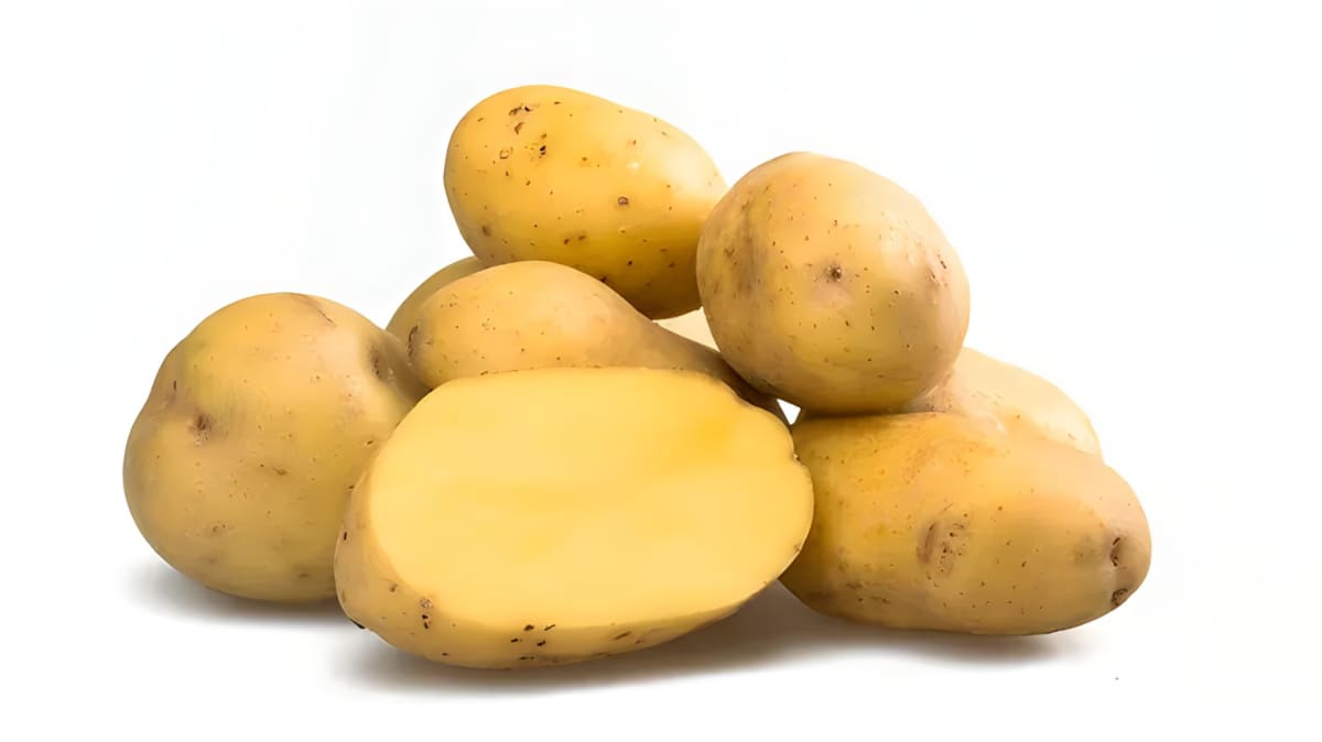 Yukon Gold potatoes on a white background