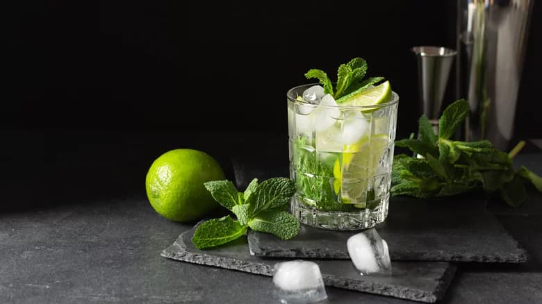 Don't Be Fooled — The Shape Of Ice Greatly Affects Cocktails