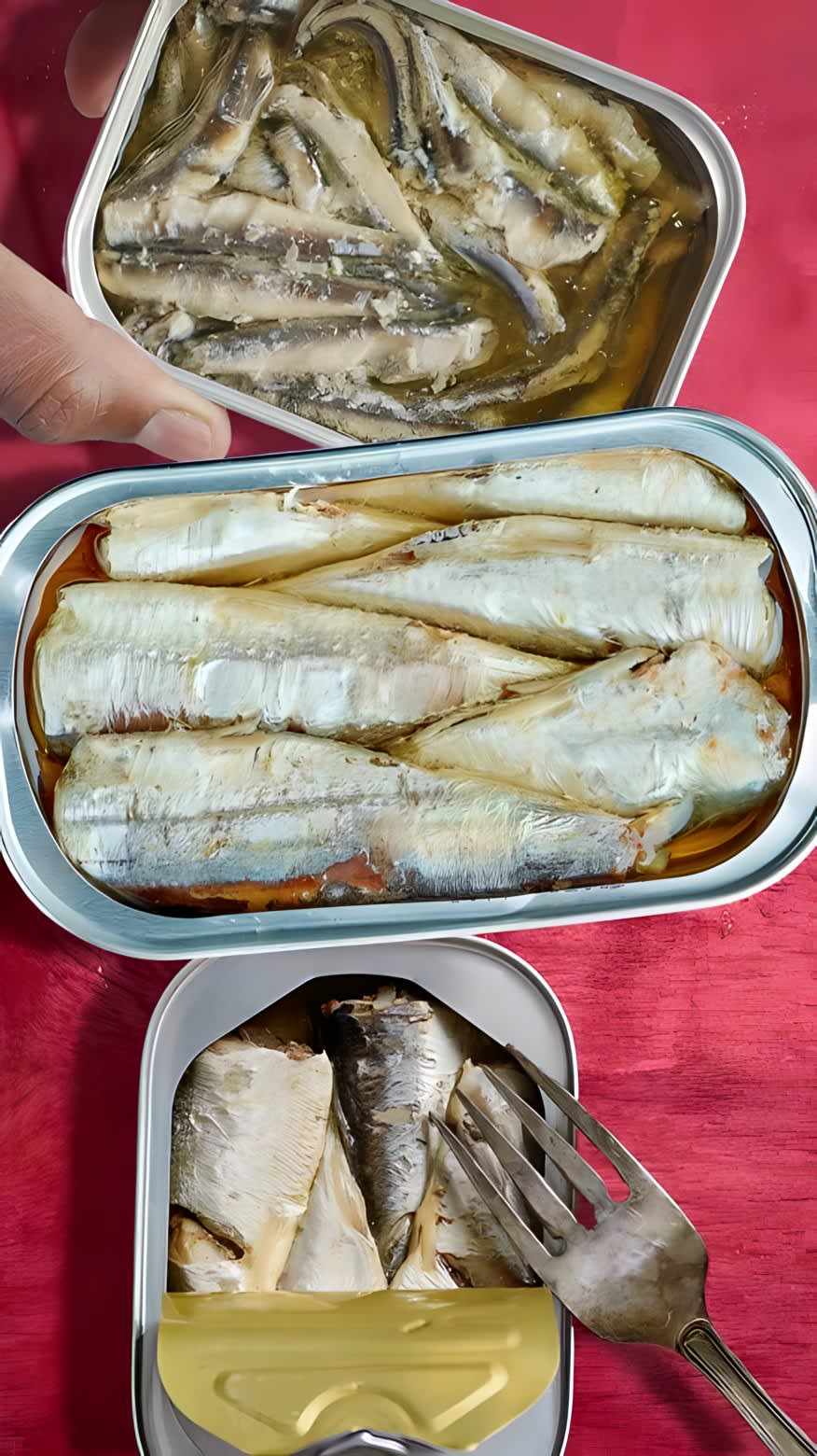 Open can of sardines on countertop