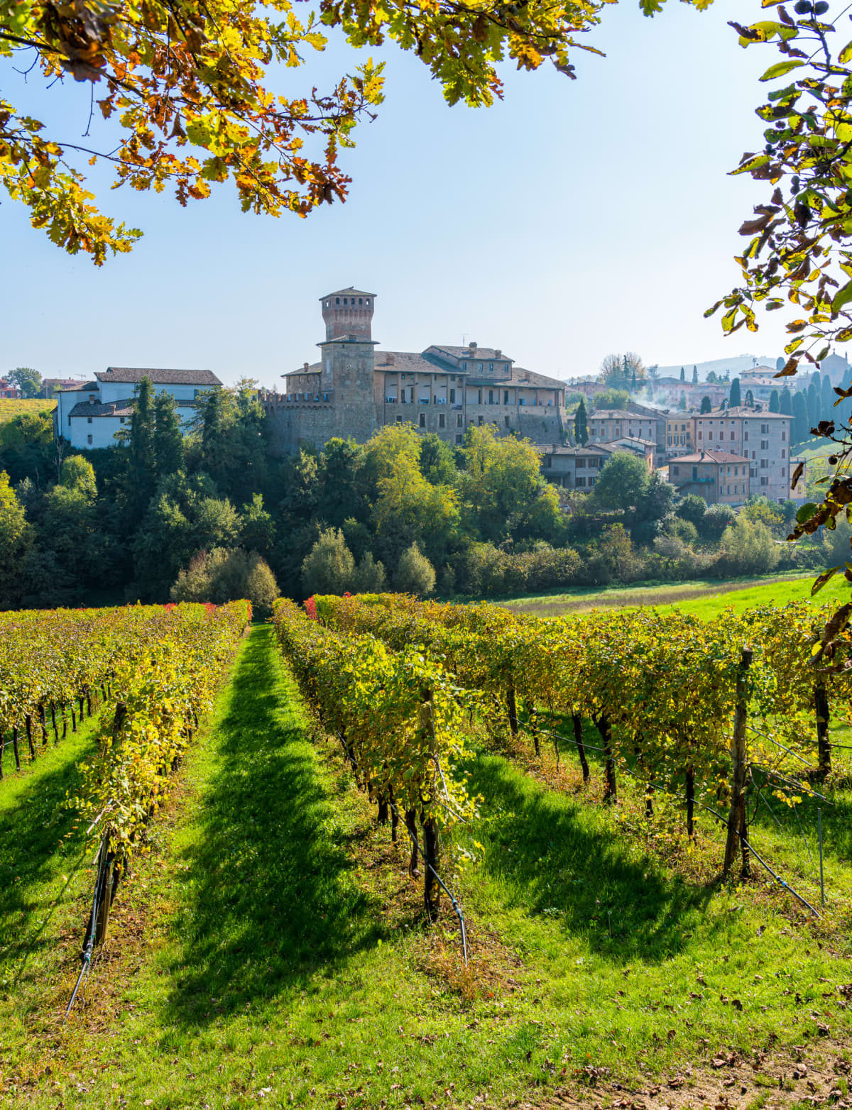 Levizzano Rangone and its vineyars in fall season. Province of Modena, Emilia Romagna, Italy.
