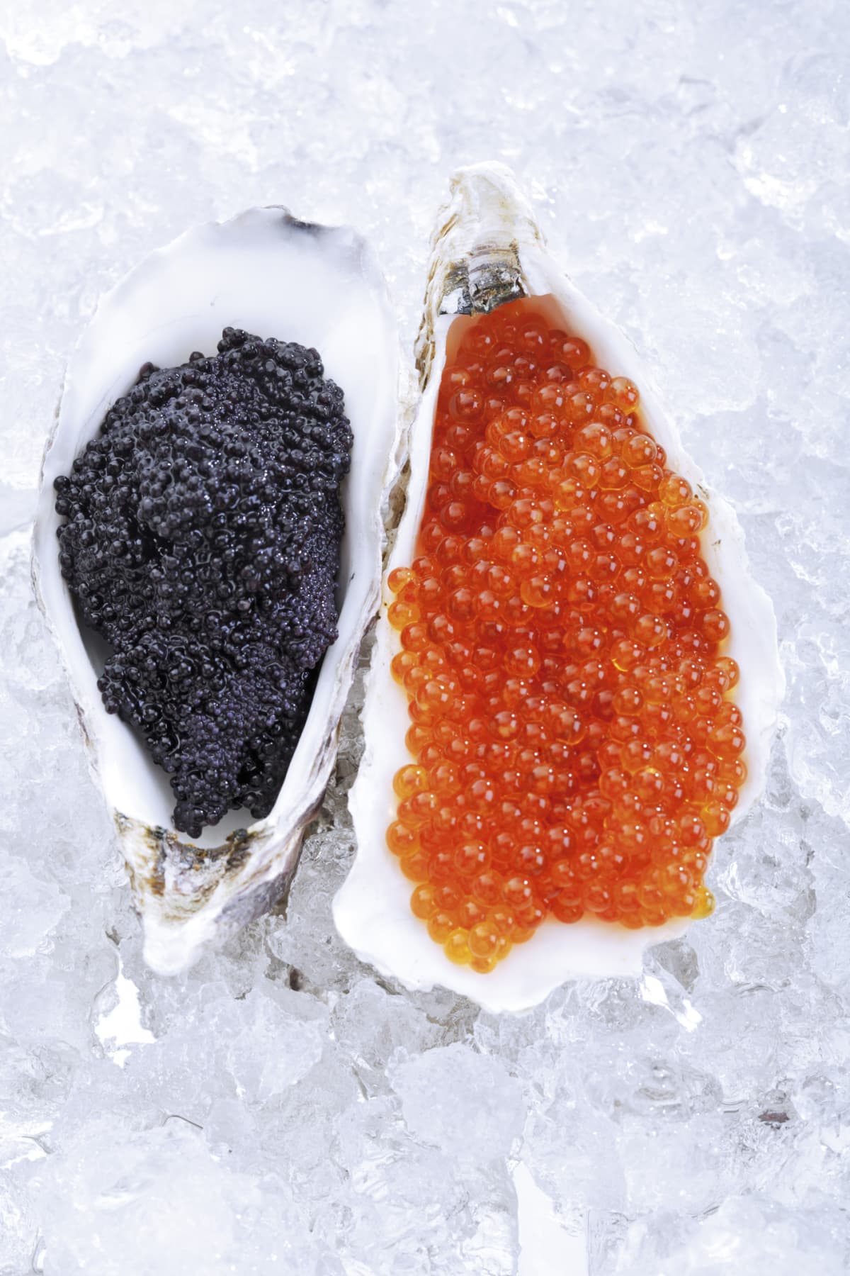 Salmon Roe in Oyster Shell.