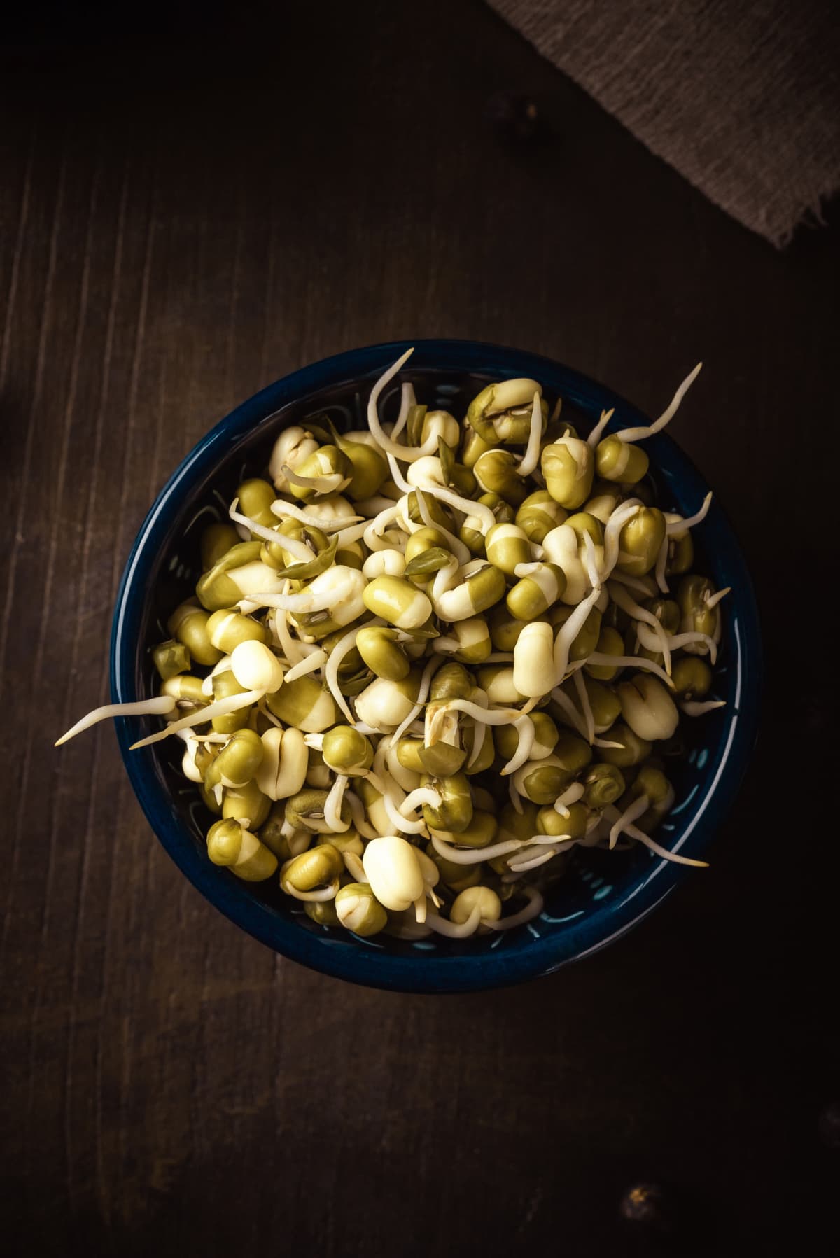 Vertical photo with top view on blue bowl full of mung bean sprouts. Bowl is placed on dark brown vintage board. Sprouts have green and white color.