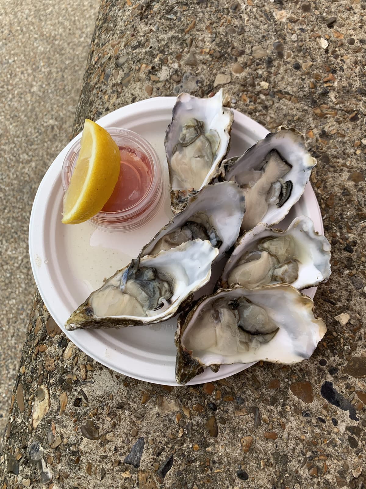 A breakfast of Oysters on the beach