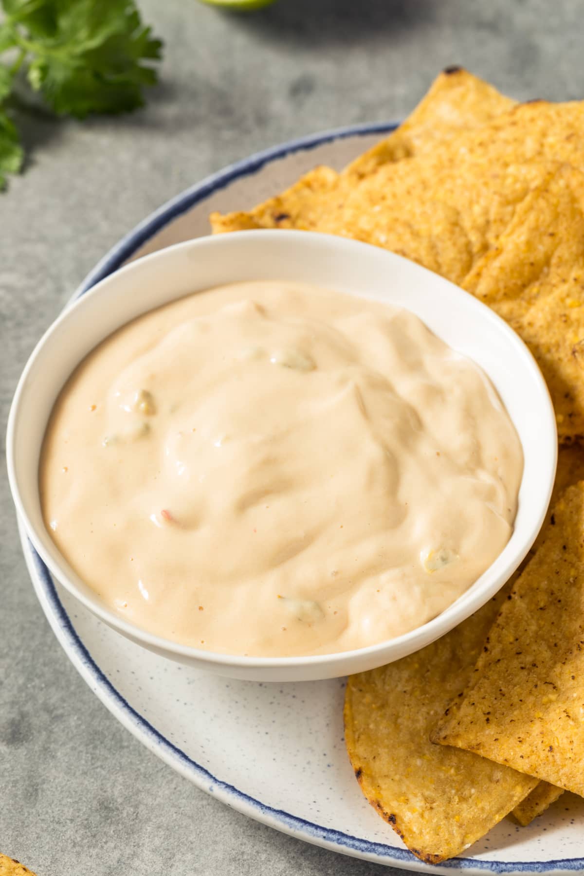 A bowl of queso dip on a plate of chips