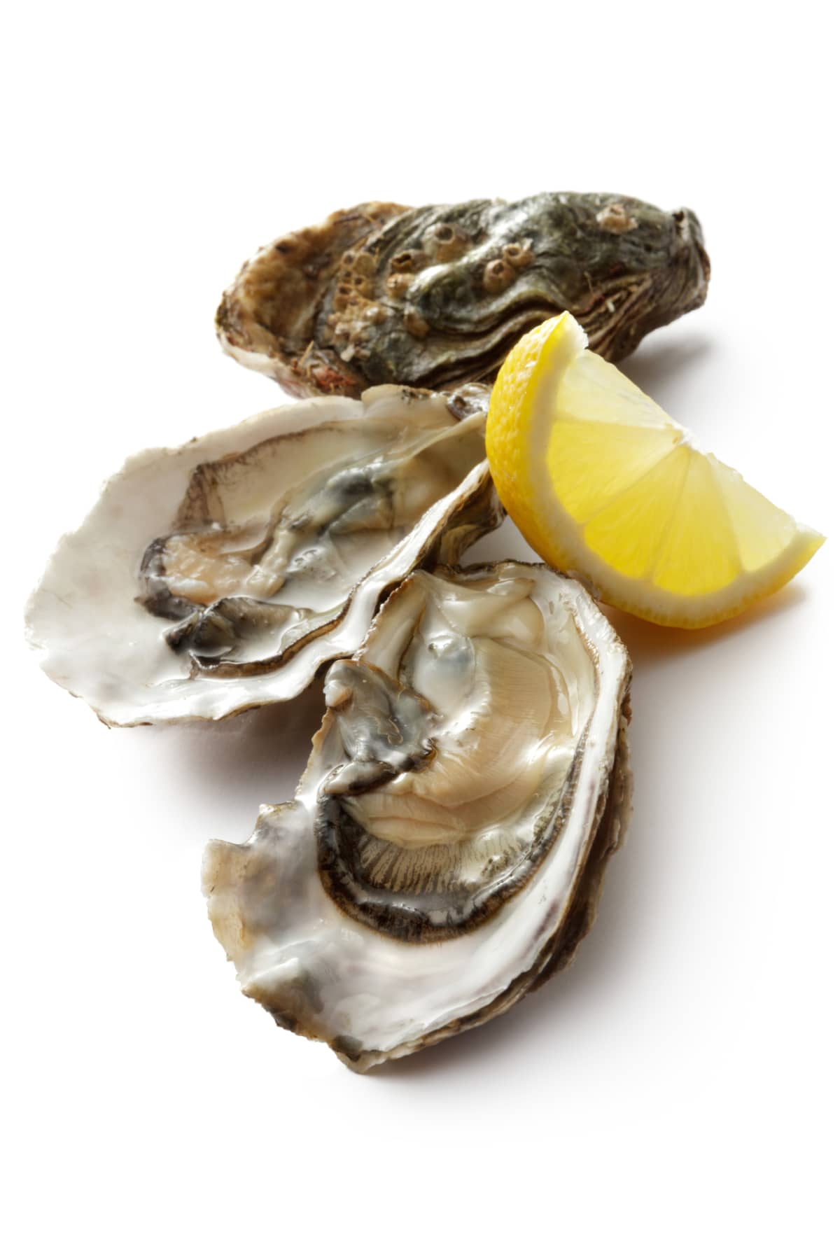 Three oysters with lemon slice garnish