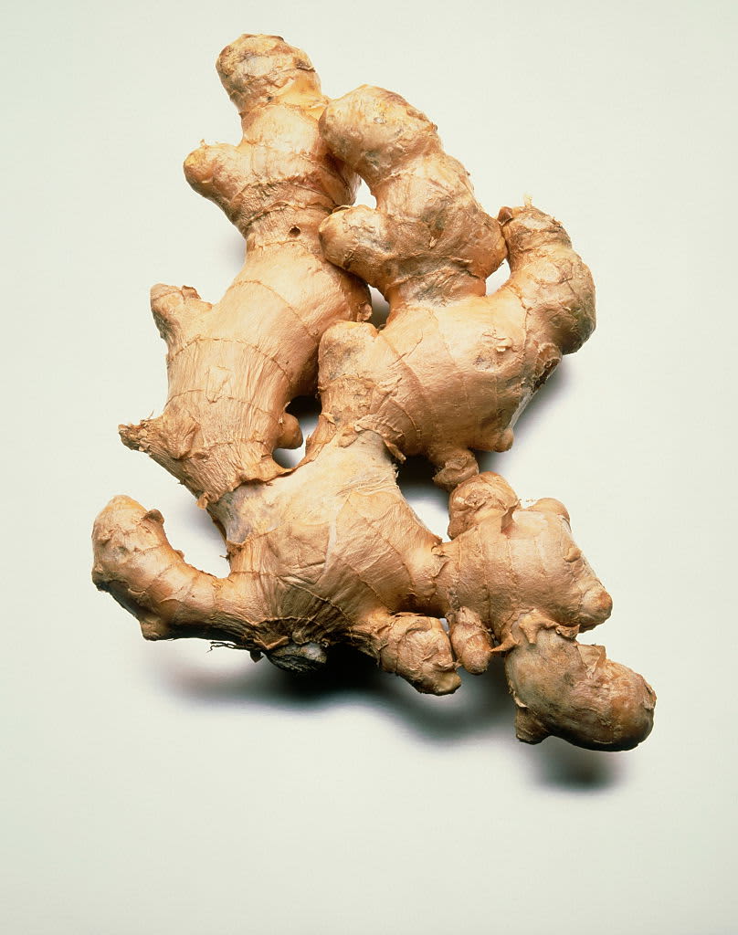 Ginger, Zingiber officinale. (Photo by FlowerPhotos/Universal Images Group via Getty Images)